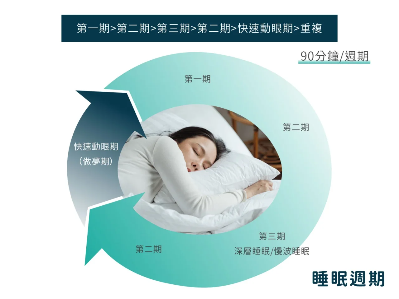 睡眠週期