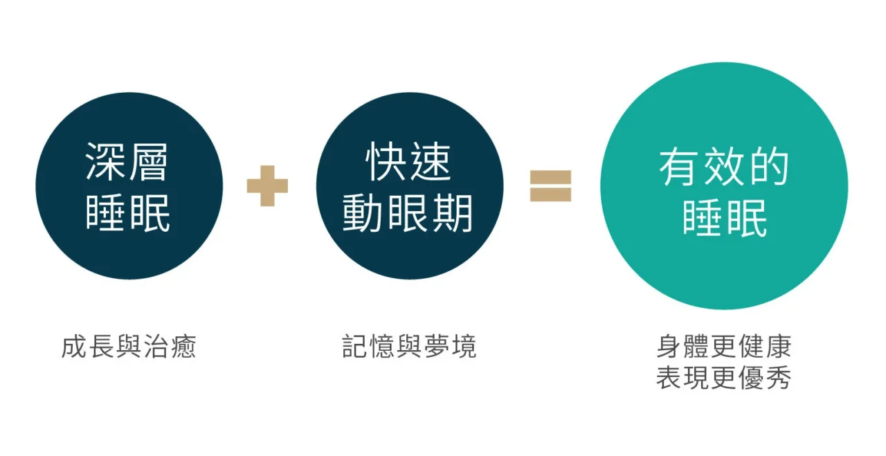 深層稅面+快速動眼期=有效的睡眠
