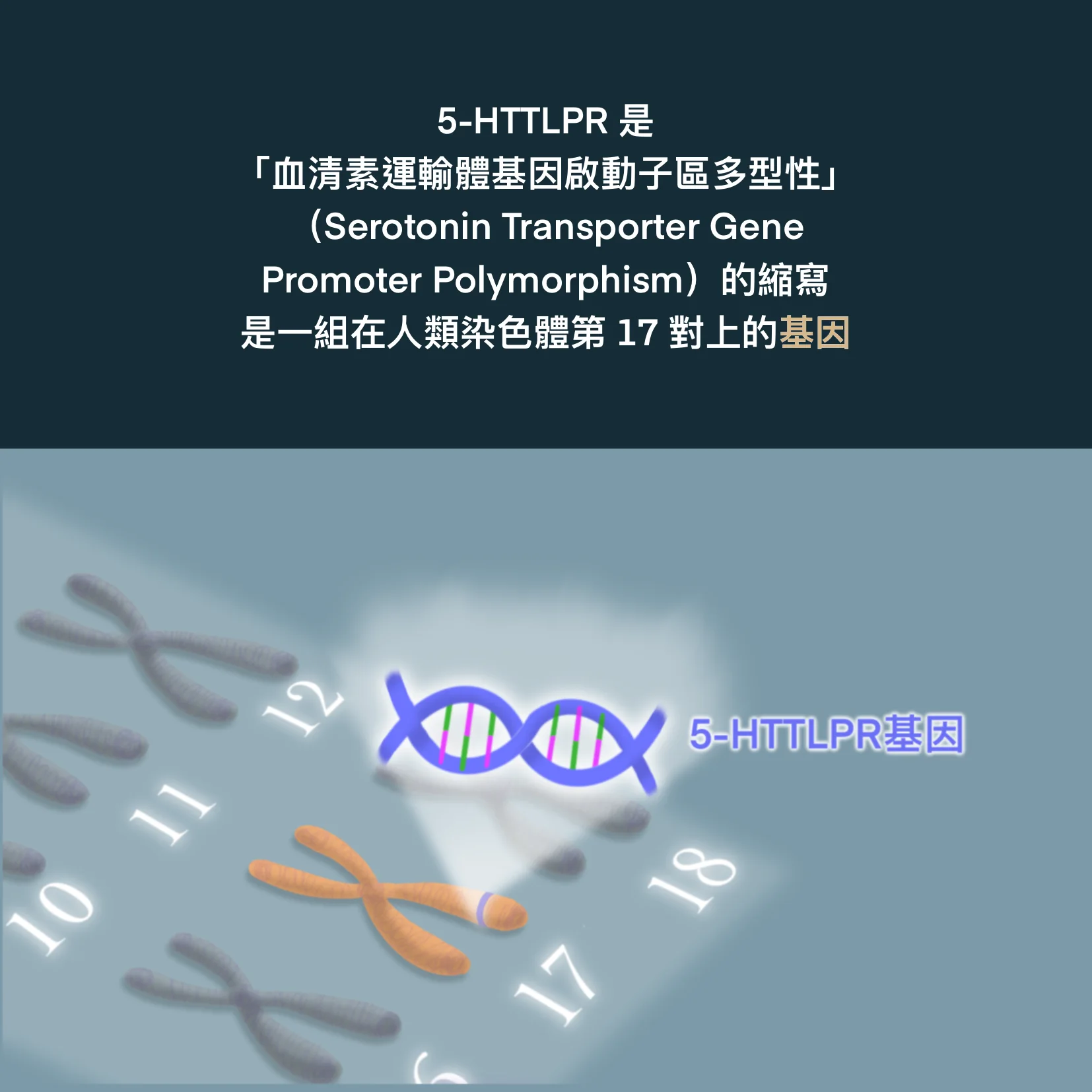 北屯好晴天身心診所