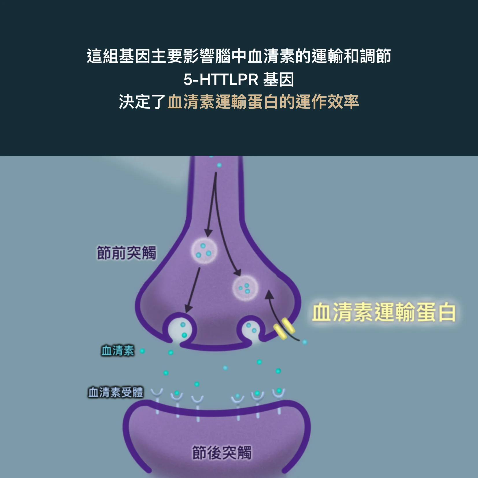 北屯好晴天身心診所